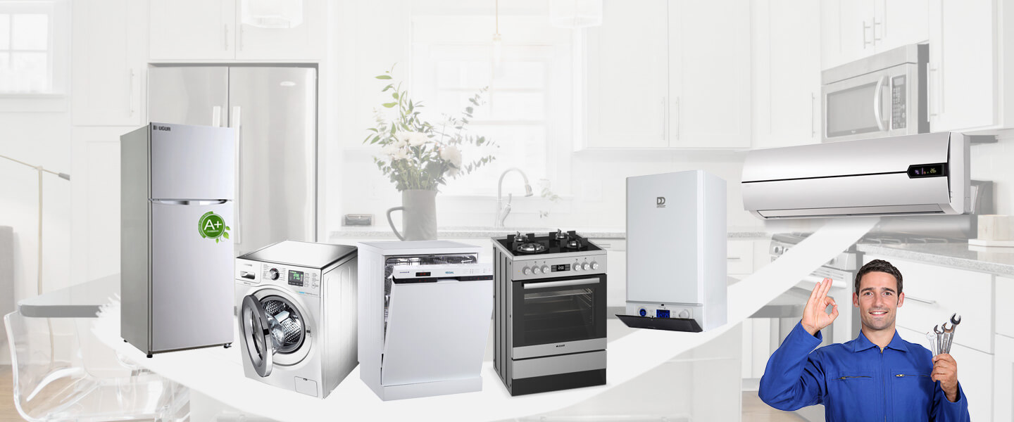 Düziçi Electrolux Servisi